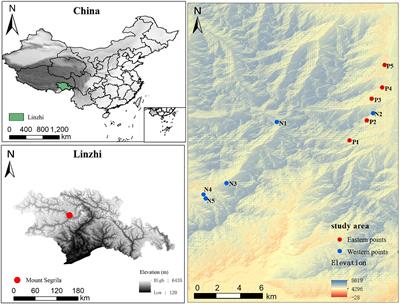 Linkages and key factors between soil bacterial and fungal communities along an altitudinal gradient of different slopes on mount Segrila, Tibet, China